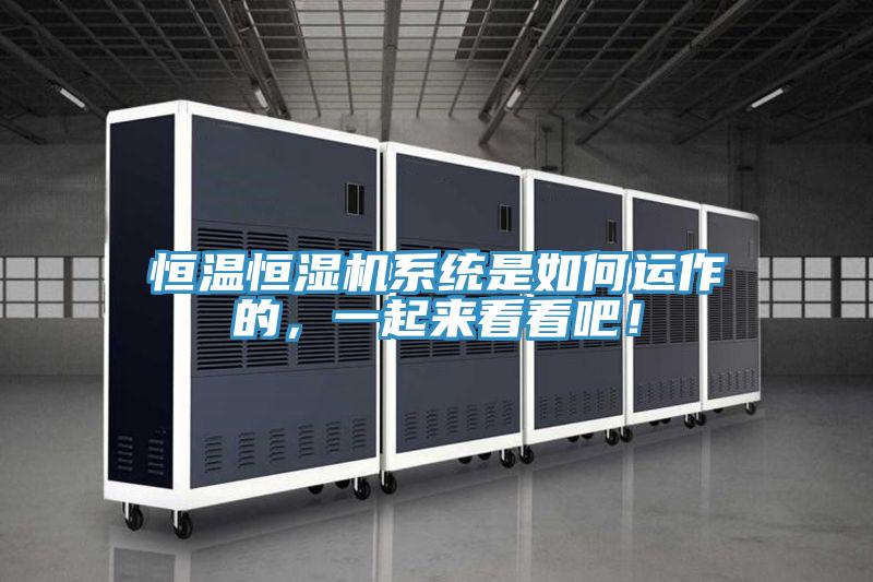 恒溫恒濕機(jī)系統(tǒng)是如何運(yùn)作的，一起來(lái)看看吧！