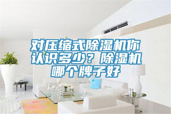 對(duì)壓縮式除濕機(jī)你認(rèn)識(shí)多少？除濕機(jī)哪個(gè)牌子好
