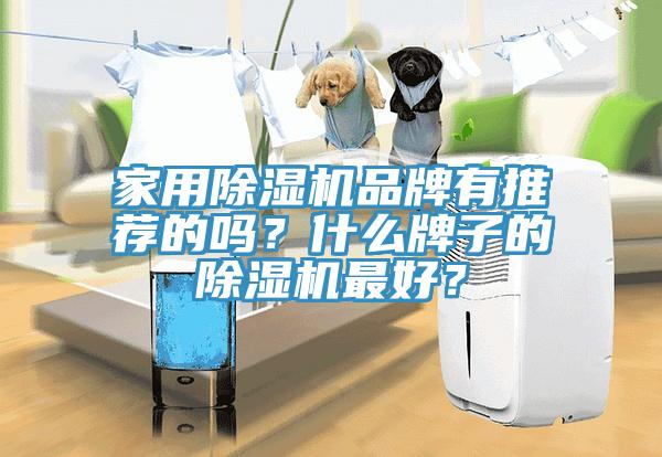 家用除濕機(jī)品牌有推薦的嗎？什么牌子的除濕機(jī)最好？