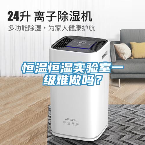 恒溫恒濕實(shí)驗(yàn)室一級(jí)難做嗎？