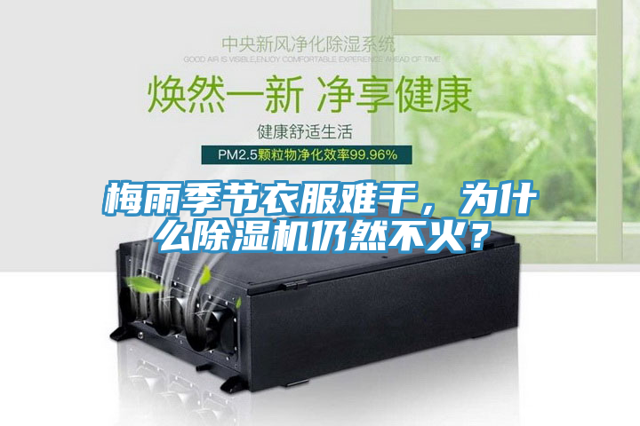 梅雨季節(jié)衣服難干，為什么除濕機(jī)仍然不火？