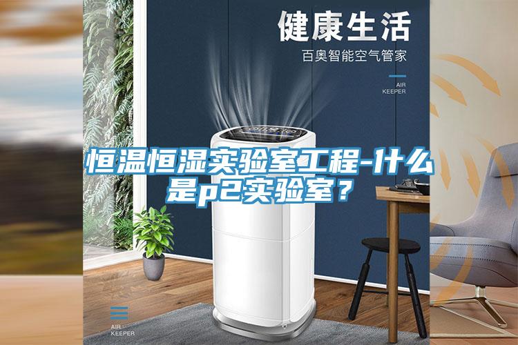 恒溫恒濕實(shí)驗(yàn)室工程-什么是p2實(shí)驗(yàn)室？