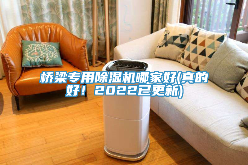 橋梁專(zhuān)用除濕機(jī)哪家好(真的好！2022已更新)