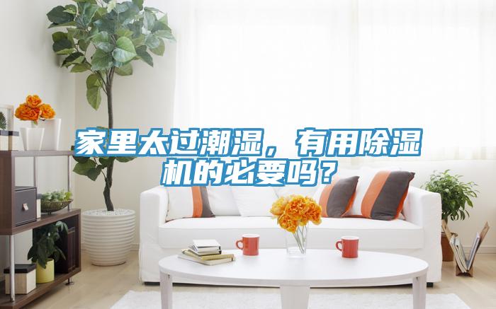 家里太過潮濕，有用除濕機(jī)的必要嗎？