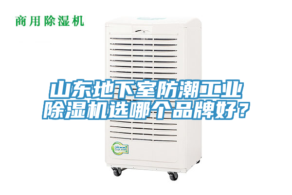 山東地下室防潮工業(yè)除濕機(jī)選哪個品牌好？