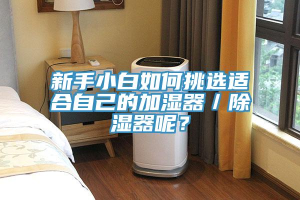 新手小白如何挑選適合自己的加濕器／除濕器呢？