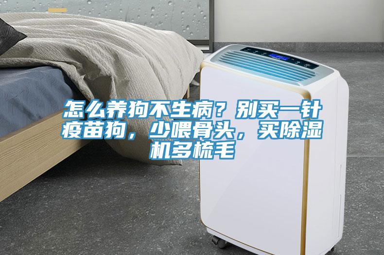 怎么養(yǎng)狗不生??？別買一針疫苗狗，少喂骨頭，買除濕機多梳毛