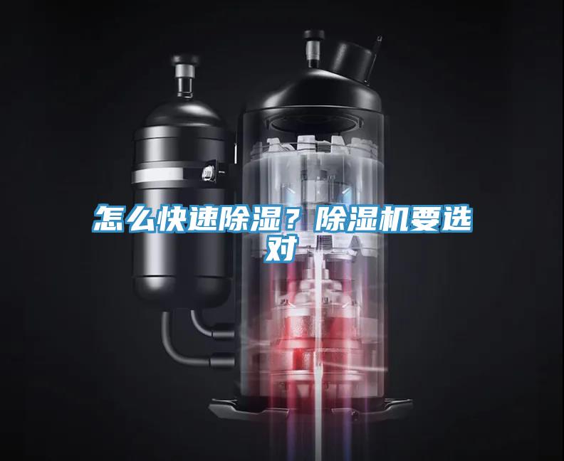 怎么快速除濕？除濕機要選對