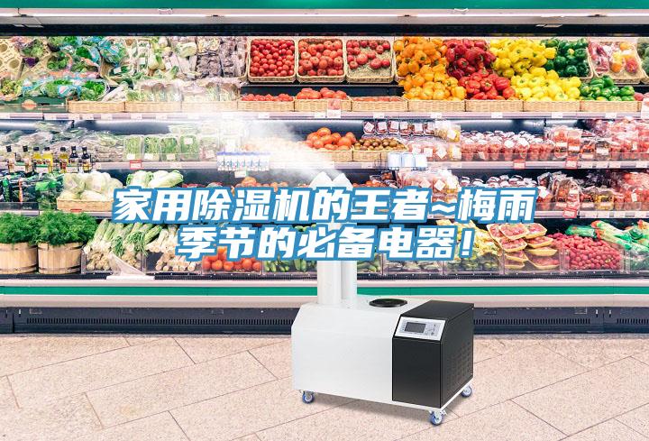家用除濕機(jī)的王者~梅雨季節(jié)的必備電器！