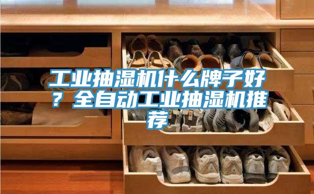 工業(yè)抽濕機(jī)什么牌子好？全自動(dòng)工業(yè)抽濕機(jī)推薦