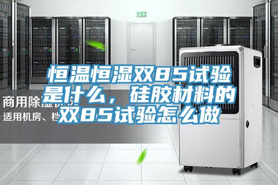 恒溫恒濕雙85試驗是什么，硅膠材料的雙85試驗怎么做