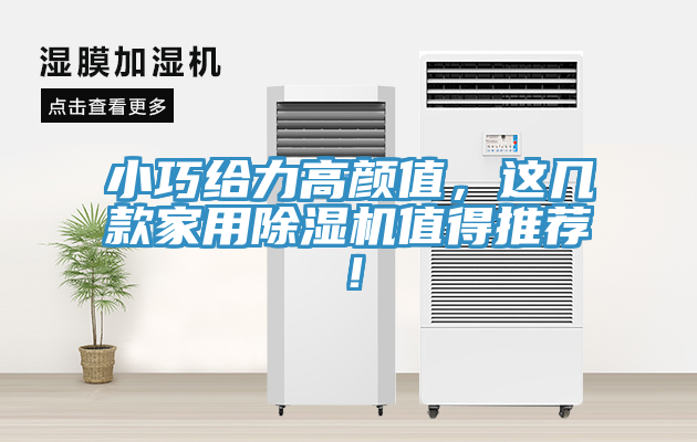 小巧給力高顏值，這幾款家用除濕機(jī)值得推薦！
