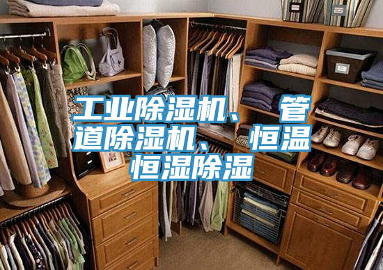 工業(yè)除濕機(jī)、 管道除濕機(jī)、 恒溫恒濕除濕