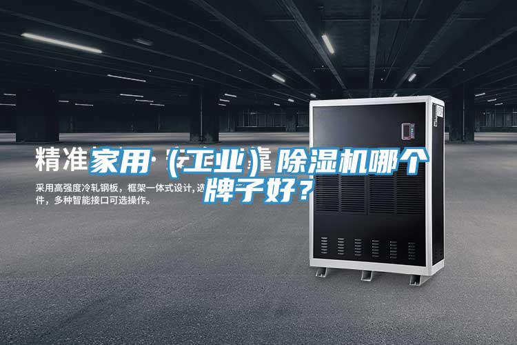 家用（工業(yè)）除濕機哪個牌子好？