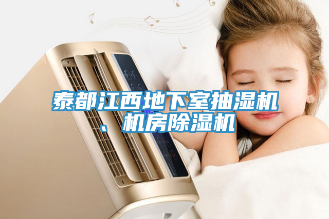 泰都江西地下室抽濕機、機房除濕機