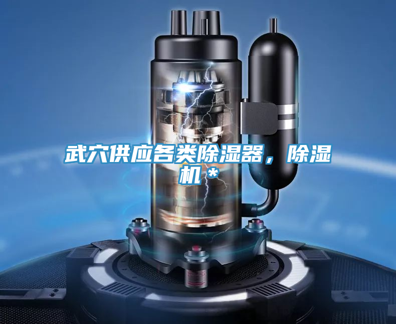 武穴供應(yīng)各類除濕器，除濕機(jī)＊