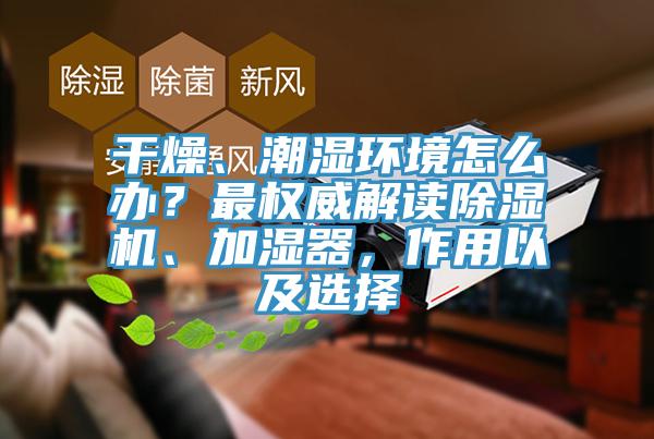 干燥、潮濕環(huán)境怎么辦？最權(quán)威解讀除濕機(jī)、加濕器，作用以及選擇