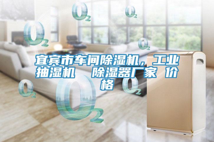 宜賓市車間除濕機(jī)，工業(yè)抽濕機(jī)  除濕器廠家 價(jià)格
