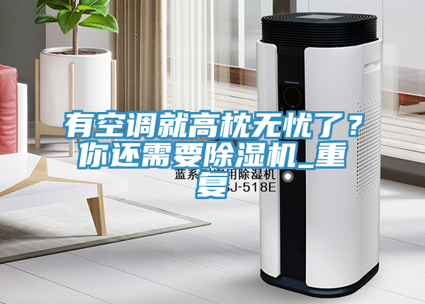 有空調(diào)就高枕無憂了？你還需要除濕機(jī)_重復(fù)