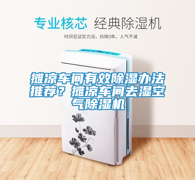 攤涼車間有效除濕辦法推薦？攤涼車間去濕空氣除濕機