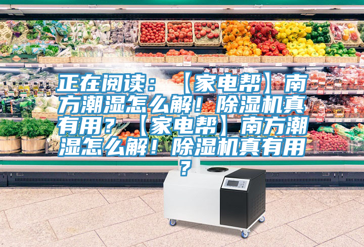 正在閱讀：【家電幫】南方潮濕怎么解！除濕機(jī)真有用？【家電幫】南方潮濕怎么解！除濕機(jī)真有用？