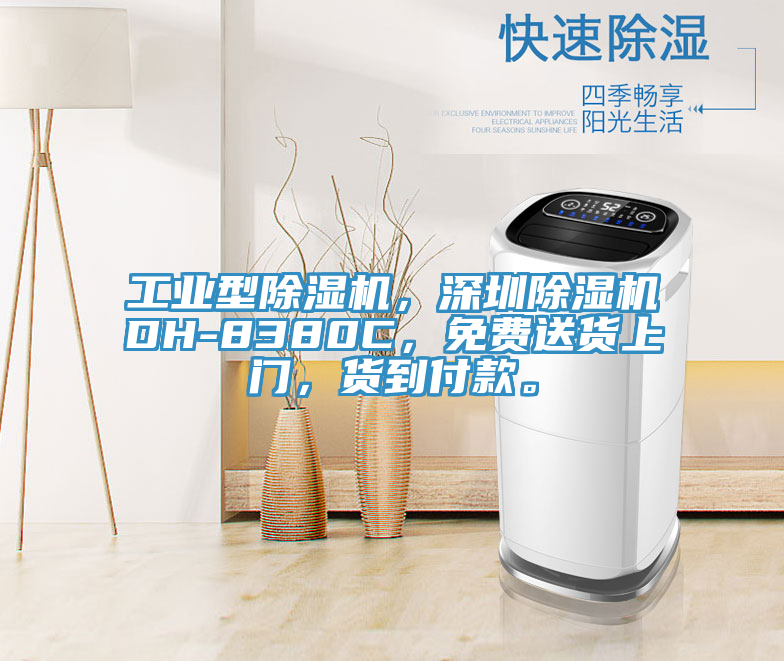工業(yè)型除濕機(jī)，深圳除濕機(jī)DH-8380C，免費(fèi)送貨上門(mén)，貨到付款。