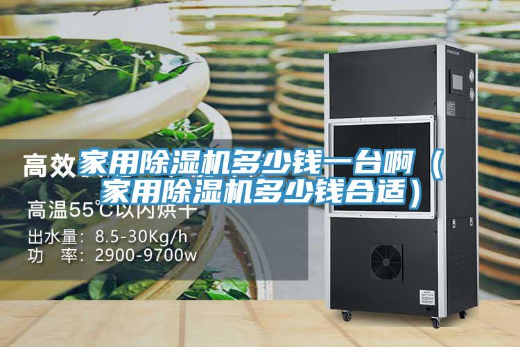 家用除濕機(jī)多少錢一臺(tái)?。矣贸凉駲C(jī)多少錢合適）