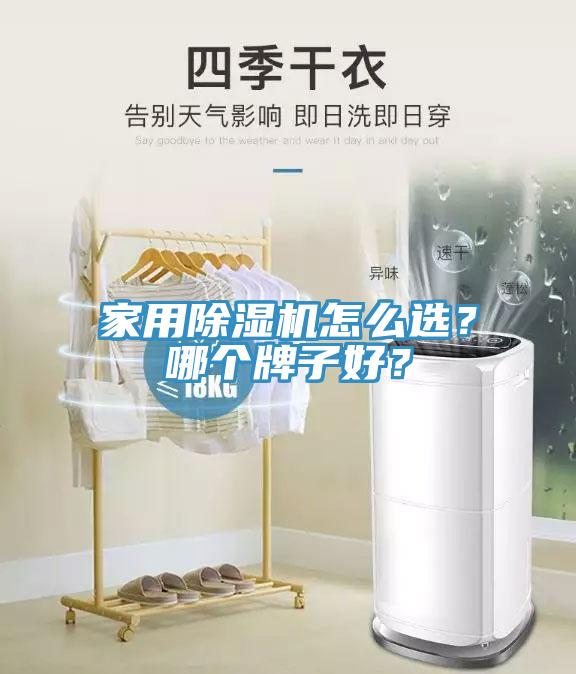 家用除濕機(jī)怎么選？哪個(gè)牌子好？