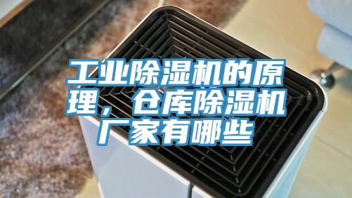 工業(yè)除濕機的原理，倉庫除濕機廠家有哪些