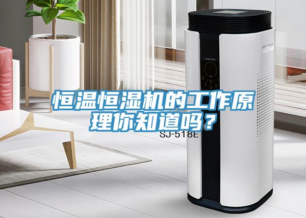 恒溫恒濕機(jī)的工作原理你知道嗎？