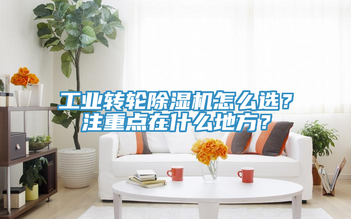 工業(yè)轉(zhuǎn)輪除濕機(jī)怎么選？注重點(diǎn)在什么地方？