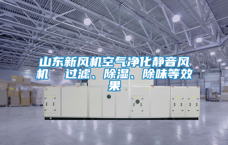 山東新風(fēng)機空氣凈化靜音風(fēng)機  過濾、除濕、除味等效果