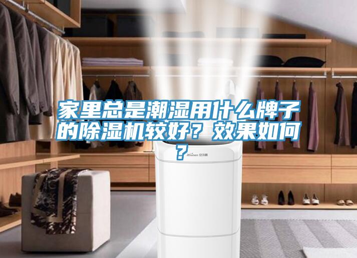 家里總是潮濕用什么牌子的除濕機較好？效果如何？