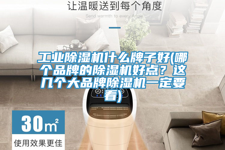 工業(yè)除濕機什么牌子好(哪個品牌的除濕機好點？這幾個大品牌除濕機一定要看)