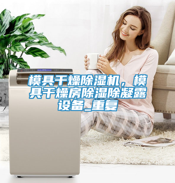 模具干燥除濕機(jī)，模具干燥房除濕除凝露設(shè)備_重復(fù)