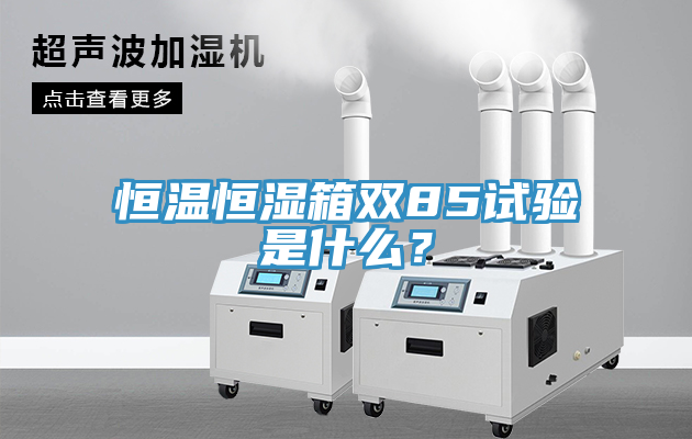 恒溫恒濕箱雙85試驗(yàn)是什么？