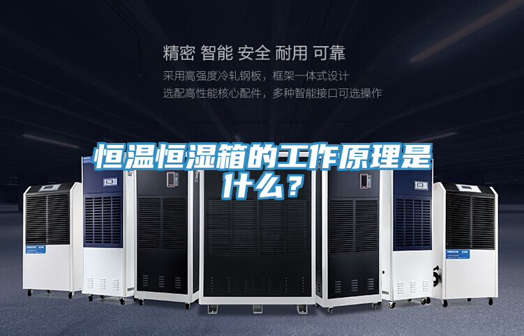 恒溫恒濕箱的工作原理是什么？