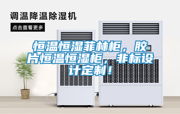 恒溫恒濕菲林柜，膠片恒溫恒濕柜，非標(biāo)設(shè)計(jì)定制！