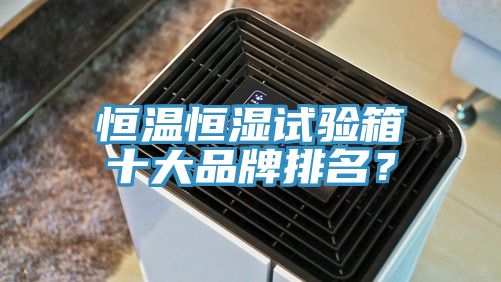 恒溫恒濕試驗(yàn)箱十大品牌排名？