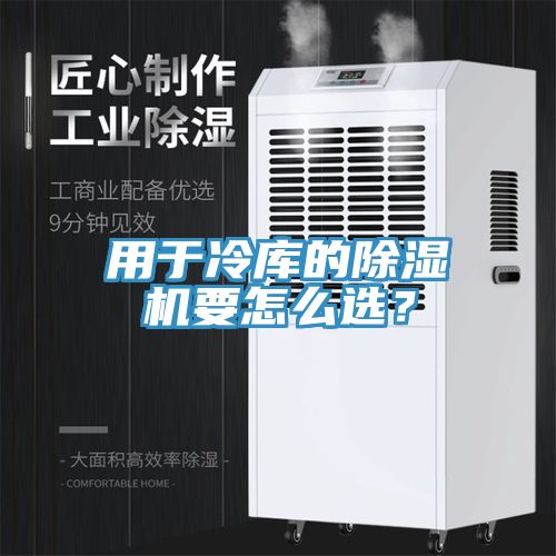用于冷庫的除濕機要怎么選？