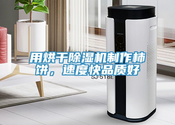 用烘干除濕機(jī)制作柿餅，速度快品質(zhì)好