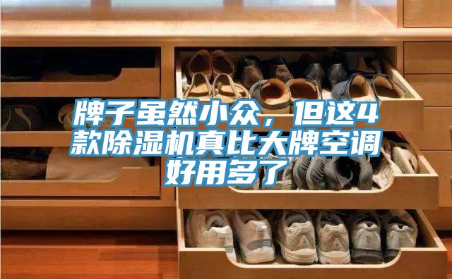 牌子雖然小眾，但這4款除濕機真比大牌空調(diào)好用多了