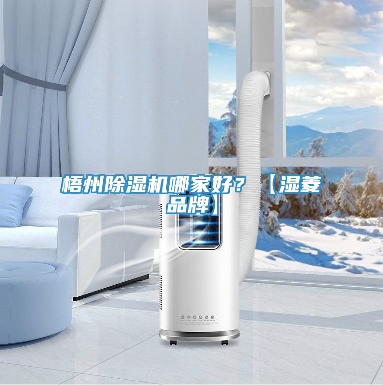 梧州除濕機哪家好？【濕菱品牌】