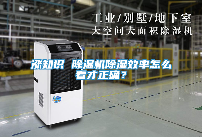 漲知識 除濕機除濕效率怎么看才正確？