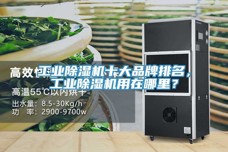 工業(yè)除濕機(jī)十大品牌排名，工業(yè)除濕機(jī)用在哪里？