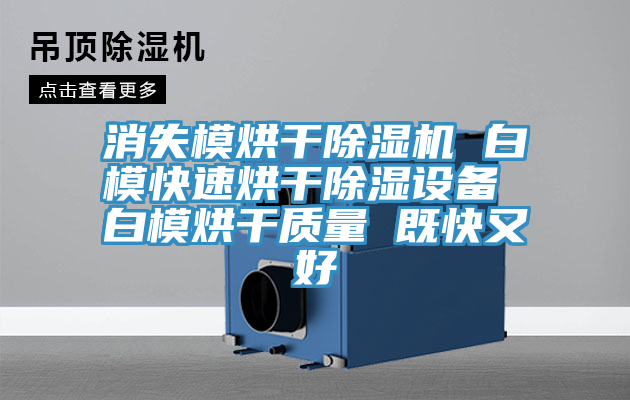消失模烘干除濕機 白?？焖俸娓沙凉裨O(shè)備 白模烘干質(zhì)量 既快又好