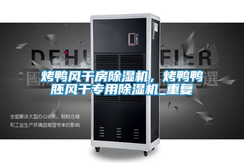 烤鴨風(fēng)干房除濕機(jī)，烤鴨鴨胚風(fēng)干專用除濕機(jī)_重復(fù)