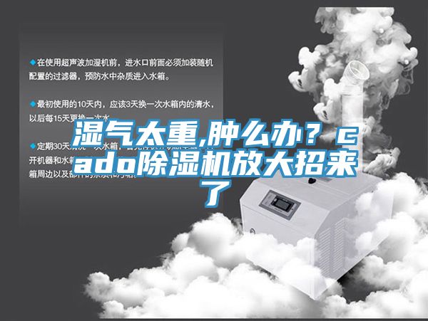 濕氣太重,腫么辦？cado除濕機(jī)放大招來了