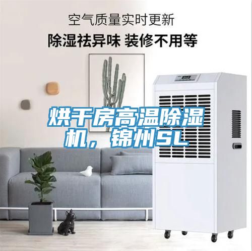 烘干房高溫除濕機(jī)，錦州SL