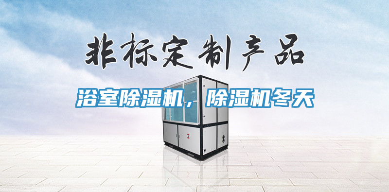 浴室除濕機(jī)，除濕機(jī)冬天
